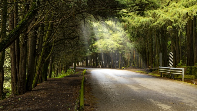 Miguel Calderón Aguilar 