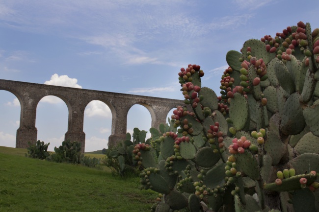 foto:Lucy Adriana Alvarez Medina - lo hecho en México