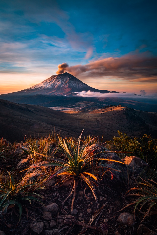 César Humberto Guzmán Vázquez 