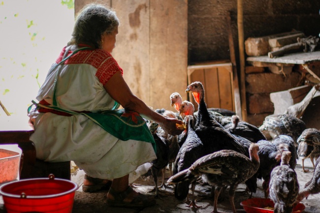 foto:Misraim Gilberto Alvarez Bolaños  - lo hecho en México