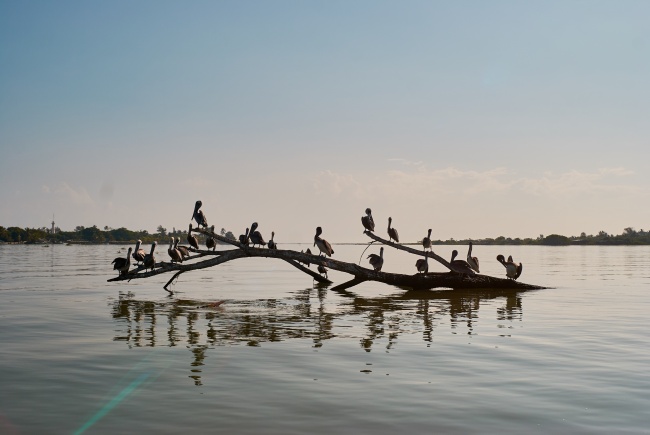 Cristóbal Omar Perales Morales 
