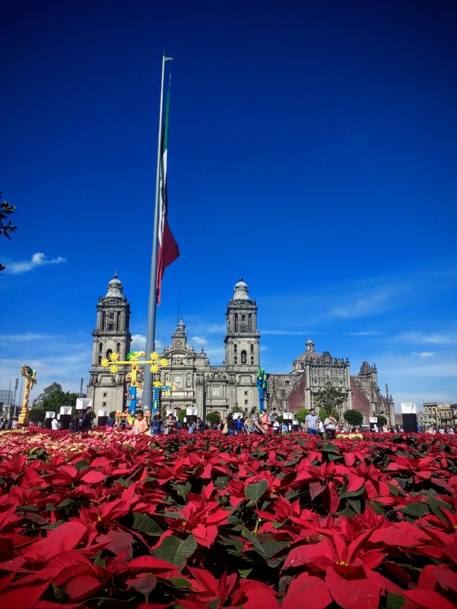 HUGO ALBERTO POZOS SANTOYO 