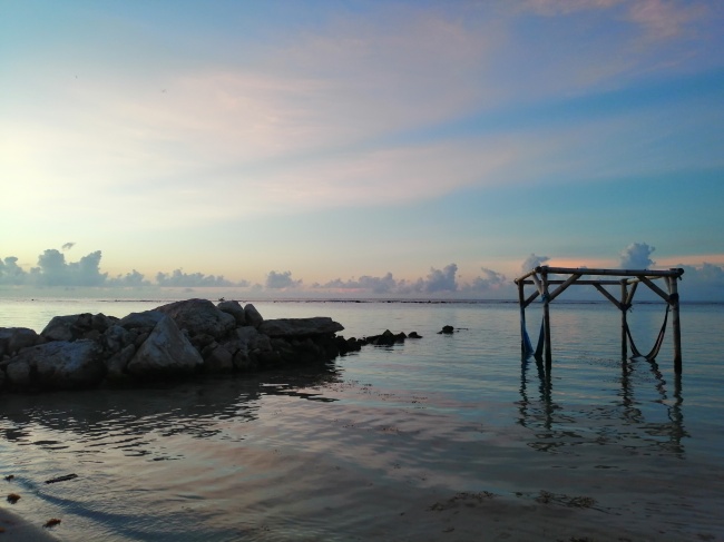 Ivonne Alejandra Marcial Palacios 