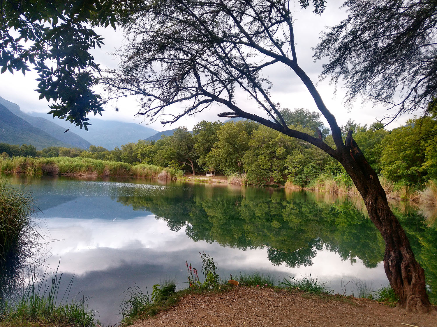 Karen Marlene Sauceda Pérez 