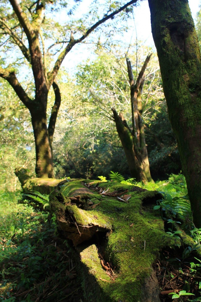 Regina López Sánchez 