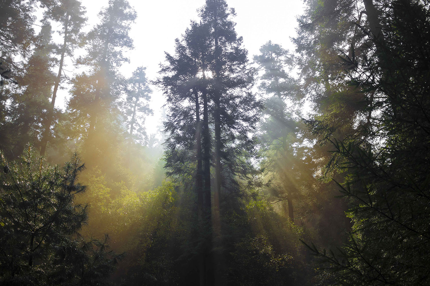 foto:Rene Dominguez Acosta - lo hecho en México