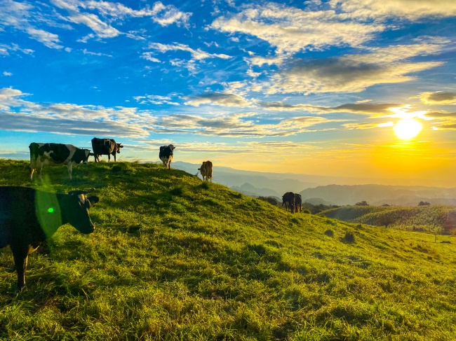 foto:César Castellanos Antonio - lo hecho en México