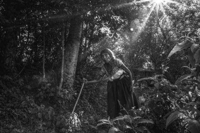 foto:José Arturo López Monterrubio  - lo hecho en México