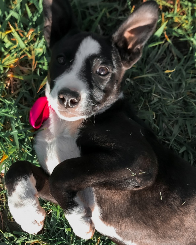 foto:María del Refugio Muñoz Cruz - lo hecho en México
