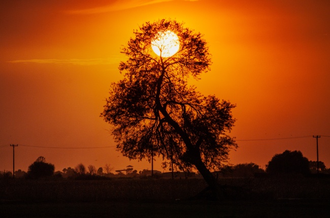 foto:Silveria Granados Buenrostro - lo hecho en México