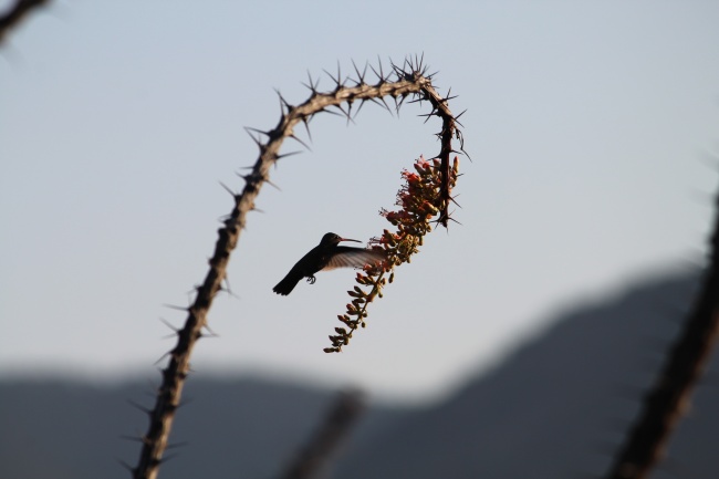 foto:Andrés García - lo hecho en México