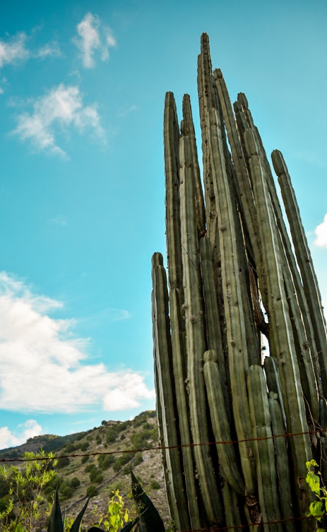 foto:adriana jaen - lo hecho en México
