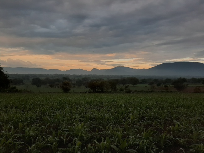 foto:Emmanuel Carrillo Flores - lo hecho en México