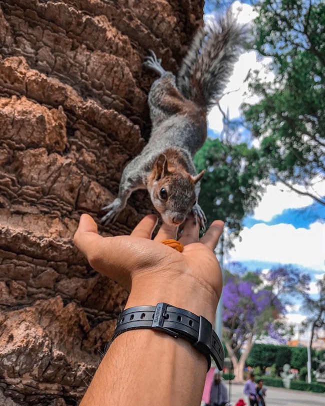 foto:Ivan Rodriguez Florido - lo hecho en México