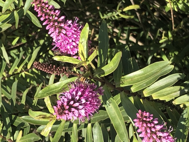 foto:Ana Mondragón - lo hecho en México