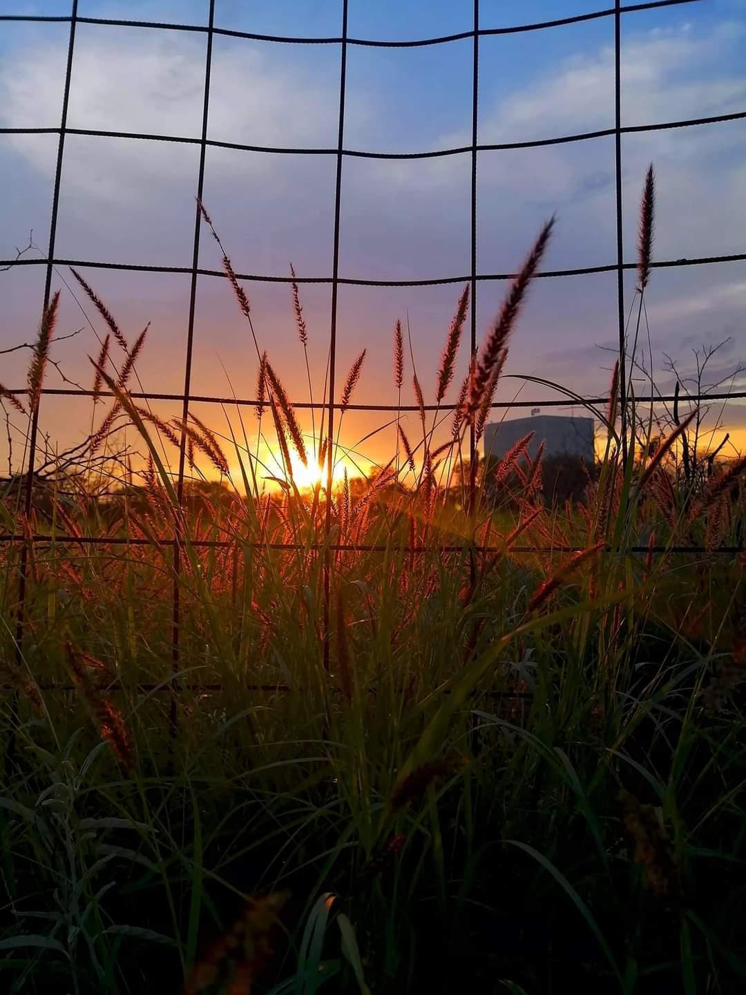 foto:Arisbeth Carretero Juárez - lo hecho en México