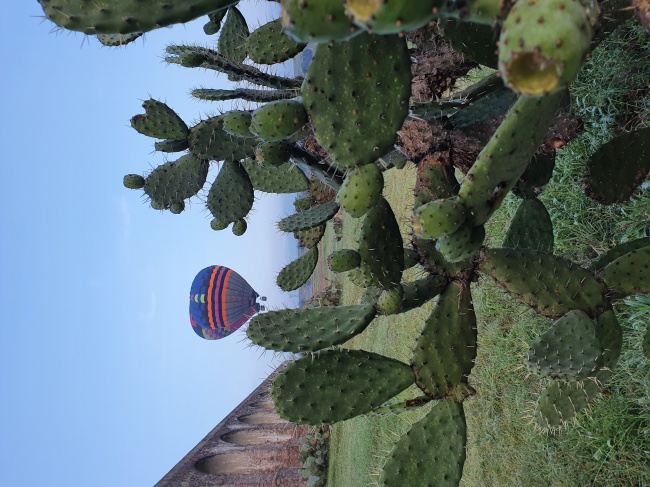 foto:Ceres Abril Rea Amaya - lo hecho en México