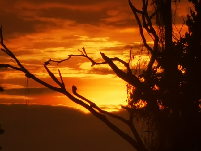 foto:Juan Carlos Bolaina García - lo hecho en México