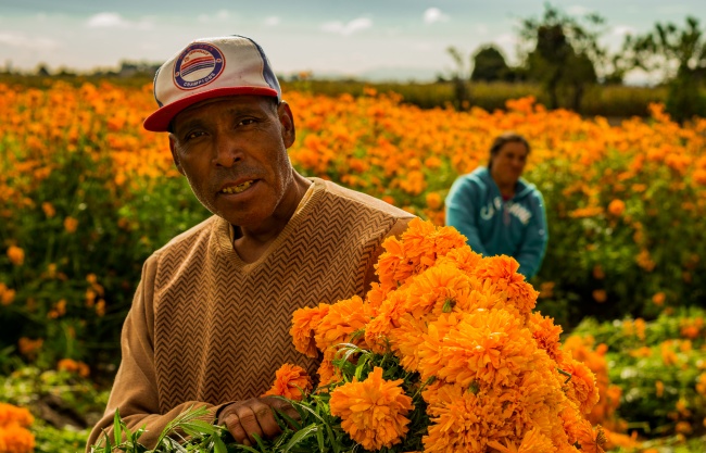 foto:Salvador Gutierrez Zamora  - lo hecho en México