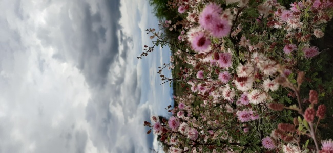 foto:Jocelyn Diaz - lo hecho en México