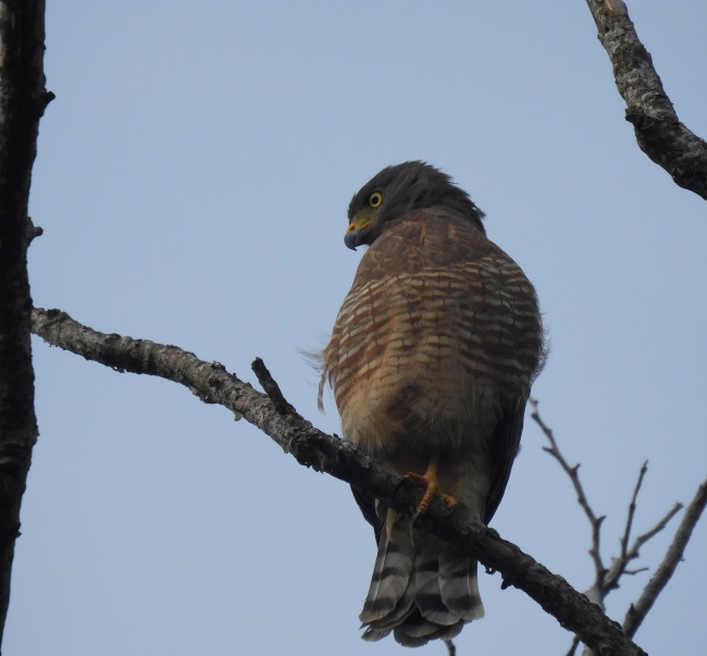 foto:Carlos Arturo Marín Medina - lo hecho en México