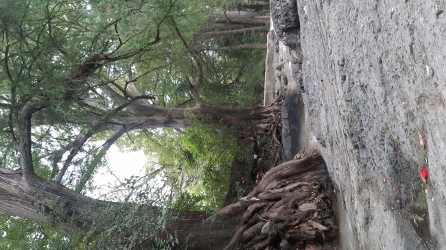 foto:Kelly Estefanía De La Fuente Lumbreras  - lo hecho en México