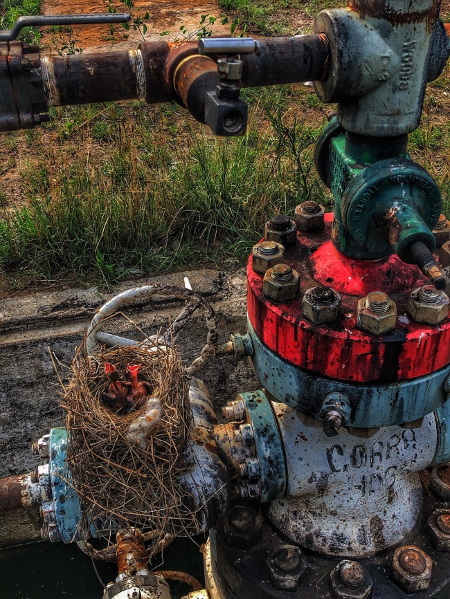 foto:Doroteo González Infante - lo hecho en México