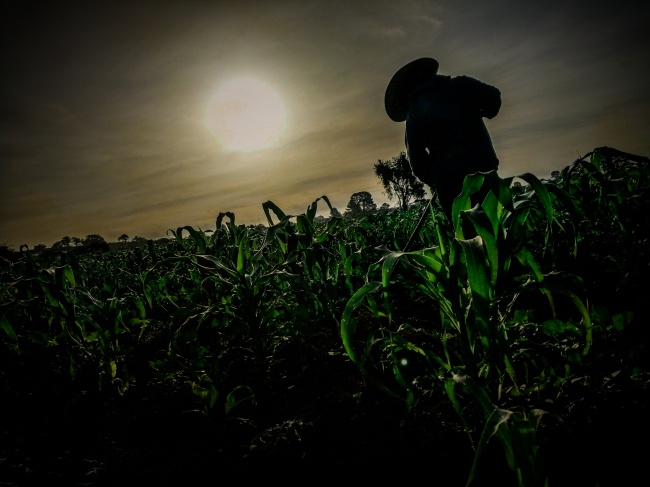 foto:Iveth Linares Abraján - lo hecho en México