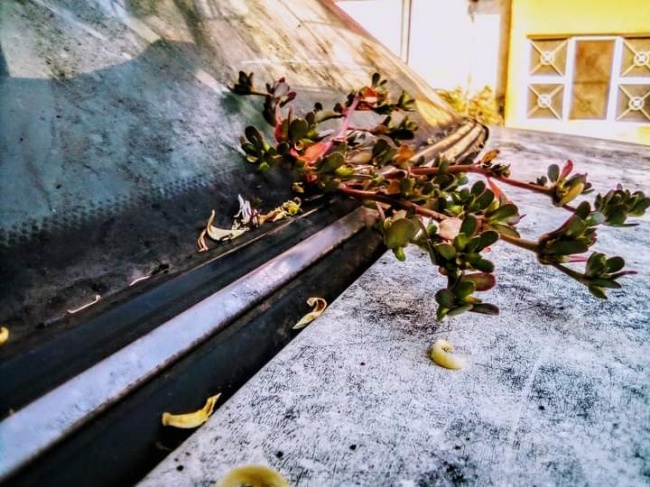 foto:Oralia Villanueva Reyes - lo hecho en México