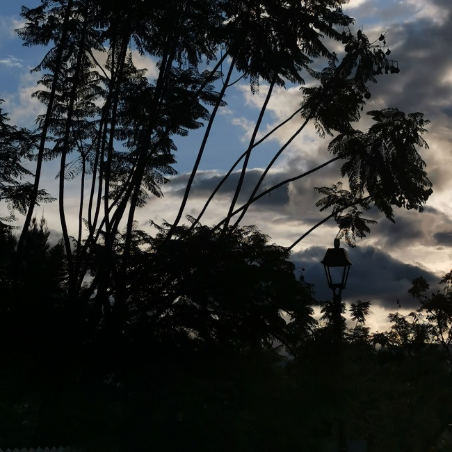 foto:Selma Martinez García - lo hecho en México