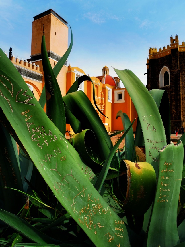 foto:JOSÉ FÉLIX BARAJAS MENDOZA - lo hecho en México