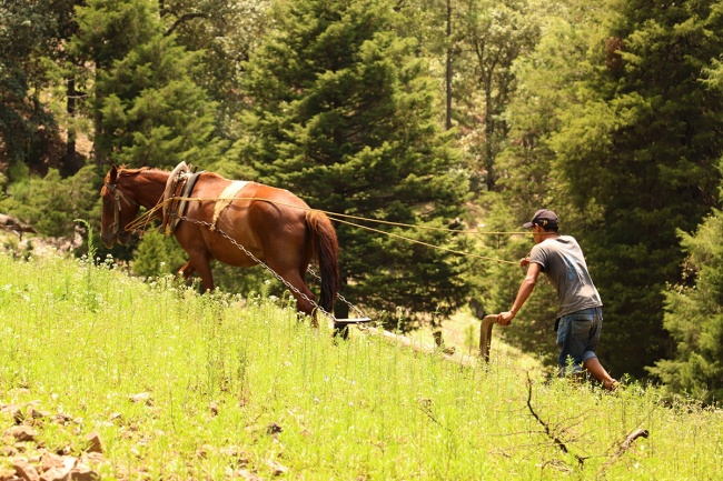 foto:Inés Avendaño Granados - lo hecho en México