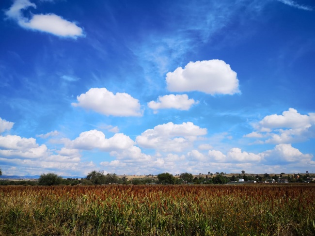foto:Fatima Soledad Belman González - lo hecho en México