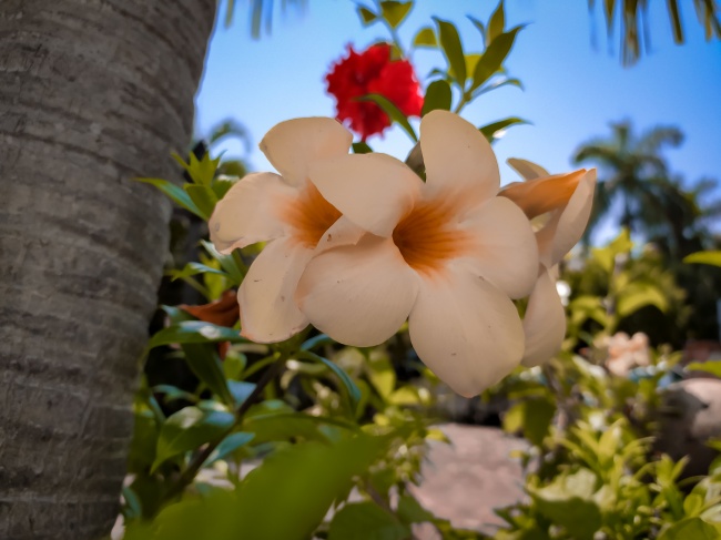 foto:Magdiel Salazar Sánchez - lo hecho en México