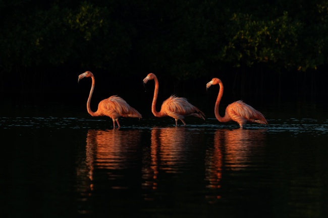 foto:martin moguel - lo hecho en México