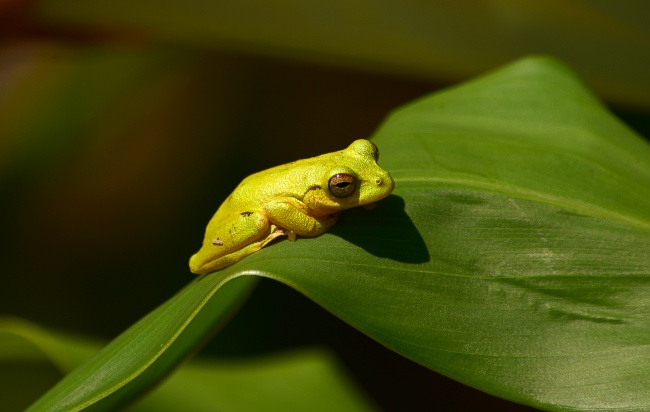 foto:María de los Angeles Peña - lo hecho en México
