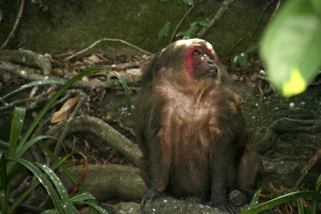 foto:JOCELYN HERNANDEZ VALENCIA - lo hecho en México
