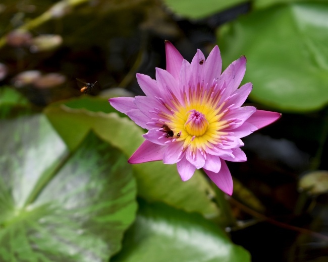 foto:Rosario López Reyes - lo hecho en México