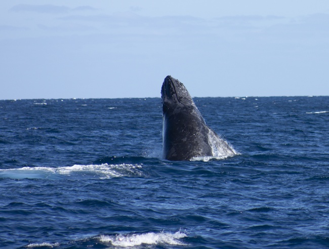 foto:Laura Cervantes Cuéllar - lo hecho en México