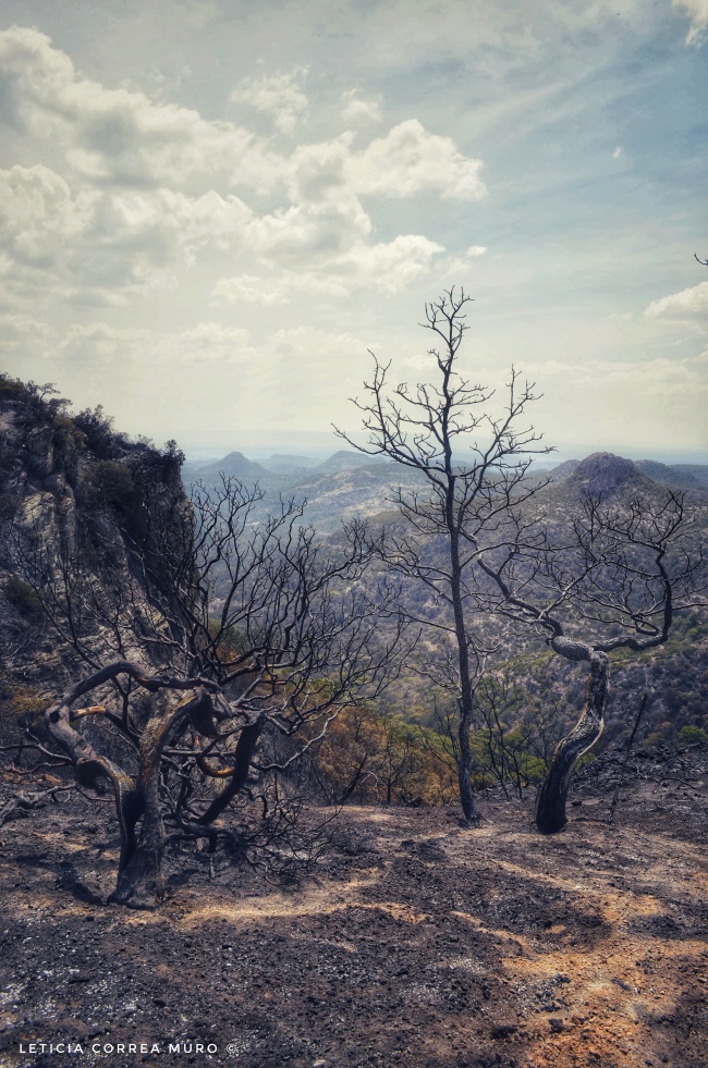 foto:Leticia Correa Muro - lo hecho en México