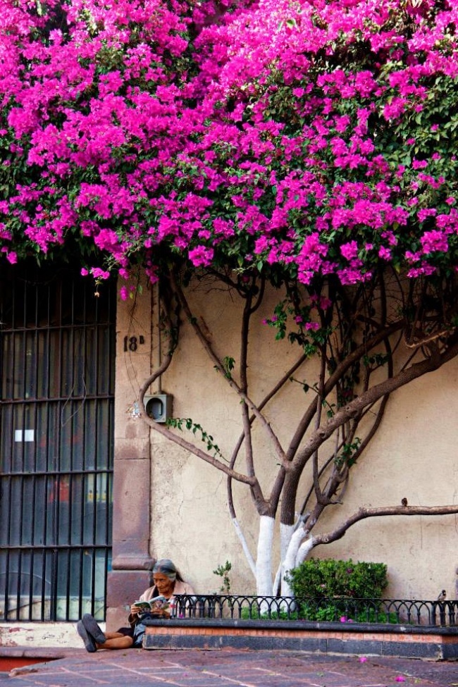 foto:Sahara Daniela Ceja Covarrubias - lo hecho en México