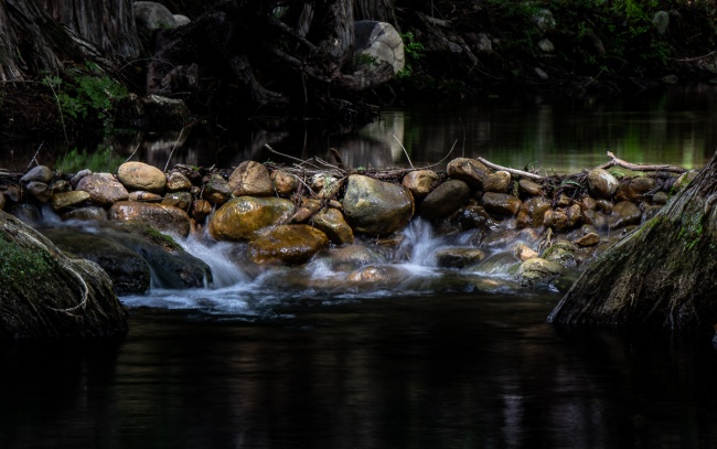 foto:Hermilo Bustamante Cruz - lo hecho en México
