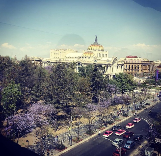 foto:Juan Carlos Pérez Martínez  - lo hecho en México