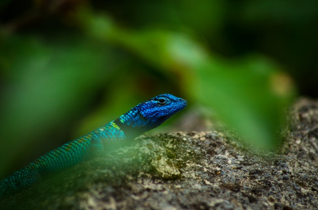 foto:Michale Serna - lo hecho en México