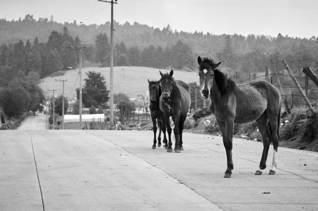 foto:Eduardo Cardenas Garay - lo hecho en México