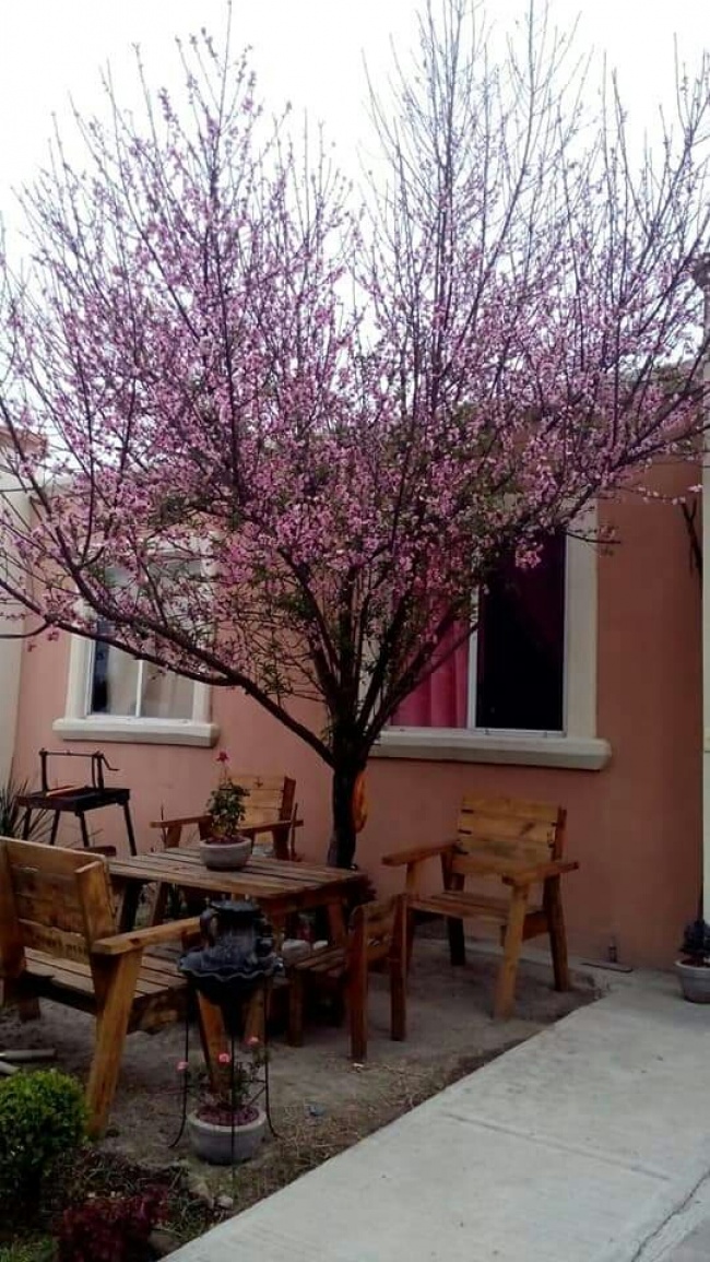 foto:Mitzi Areli Vazquez Montealegre - lo hecho en México