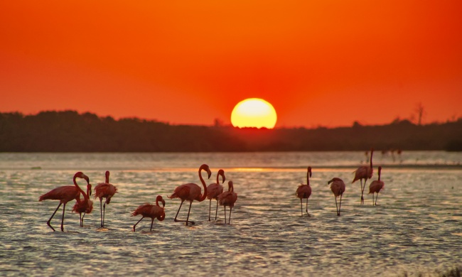 foto:Arturo Peña Romano Medina - lo hecho en México