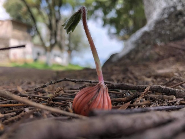 foto:Andrés López castillo - lo hecho en México