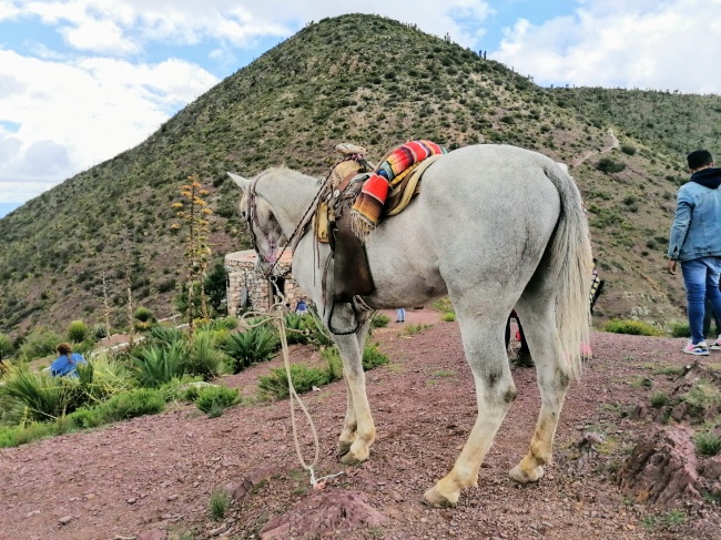 foto:Gabriela Jiménez González - lo hecho en México