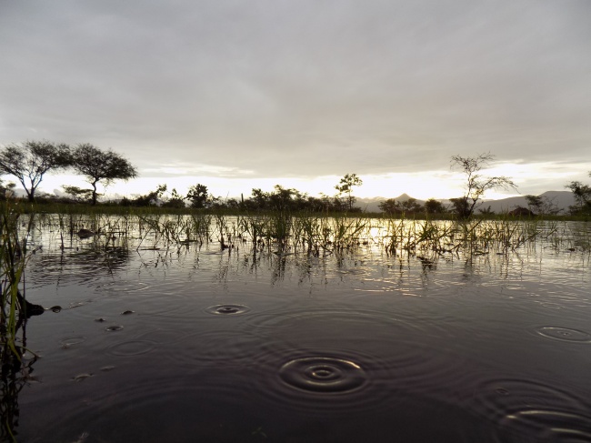 foto:SAMUEL MARTÍNEZ LOPEZ - lo hecho en México